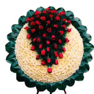 Dirección funeraria los olivos en Villavicencio