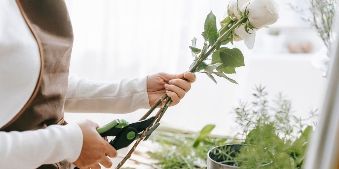 Las flores recién cortadas