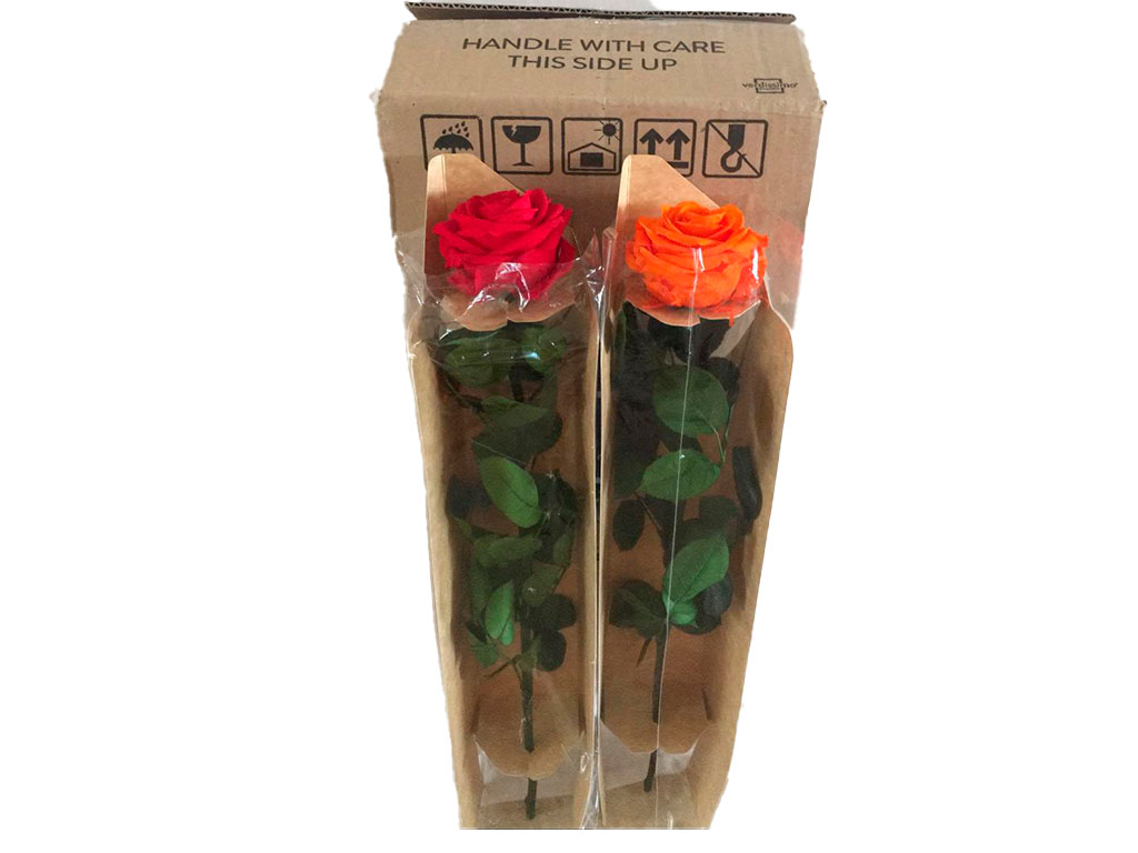 Floristerías en Bogotá Colombia Económicas - Flores a Domicilio -  Distribuidores de Flores al por mayor - Exportadores de rosas en Colombia ➤  Archila Flowers